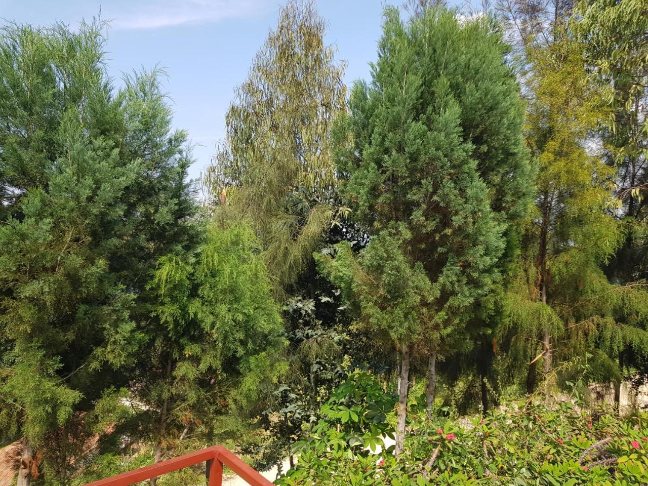Rebero Kivu Resort Kibuye ภายนอก รูปภาพ