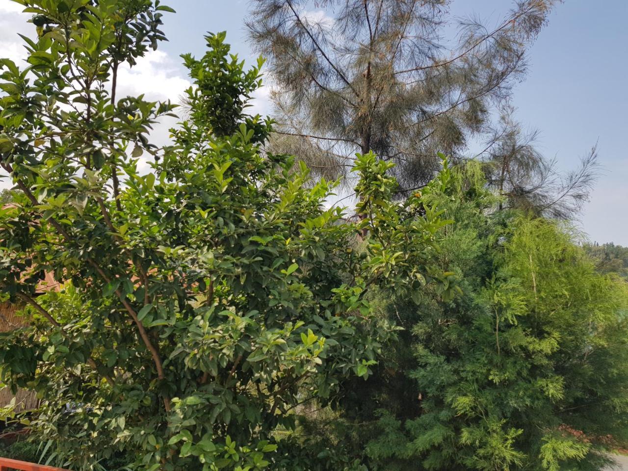 Rebero Kivu Resort Kibuye ภายนอก รูปภาพ